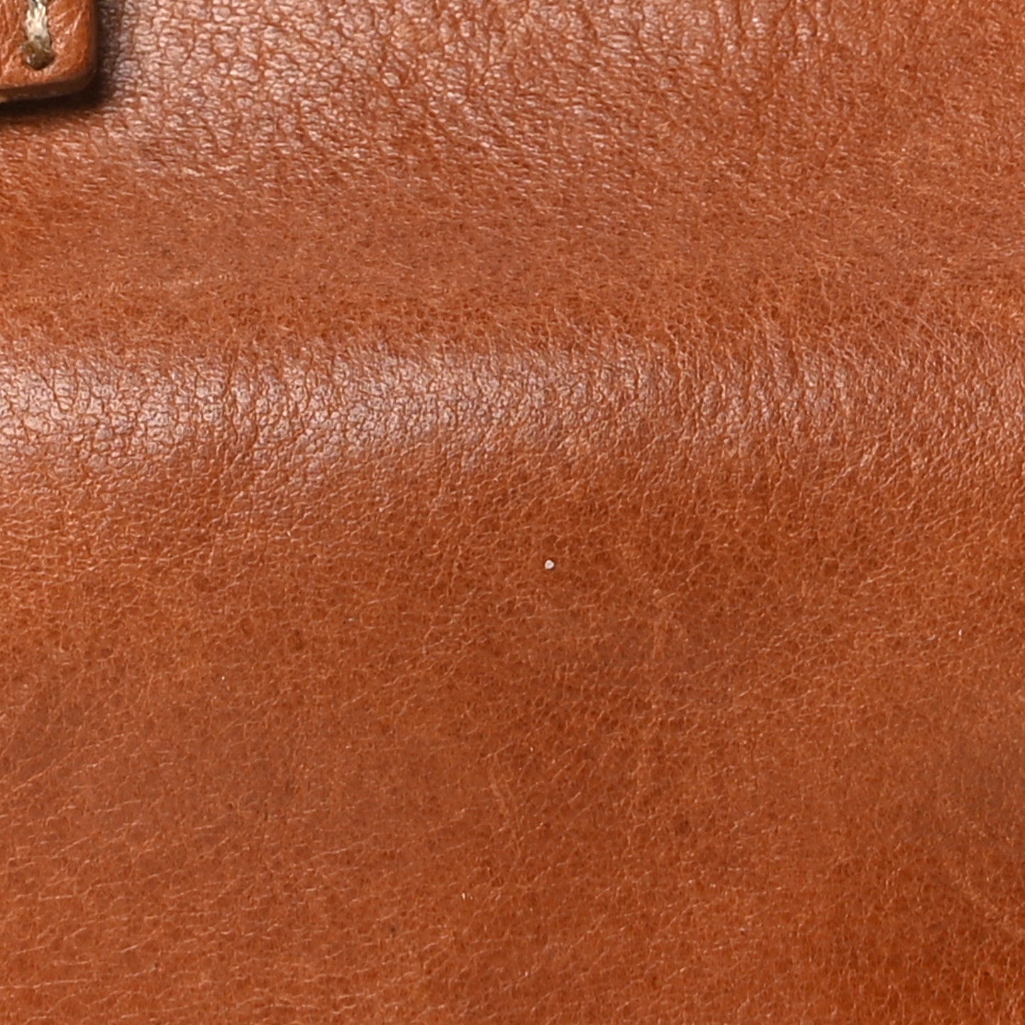 Natural Leather Cara Delevingne Convertible Backpack Brown