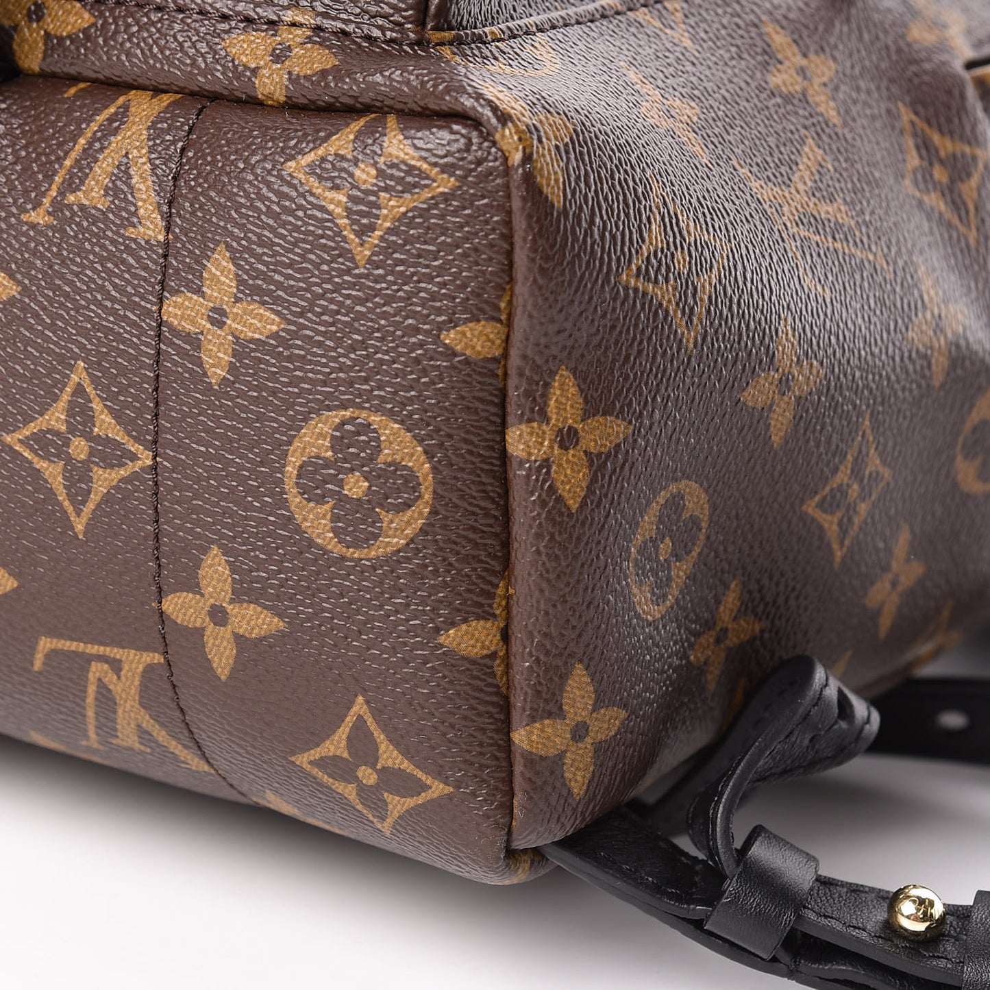 Monogram Palm Springs Backpack PM
