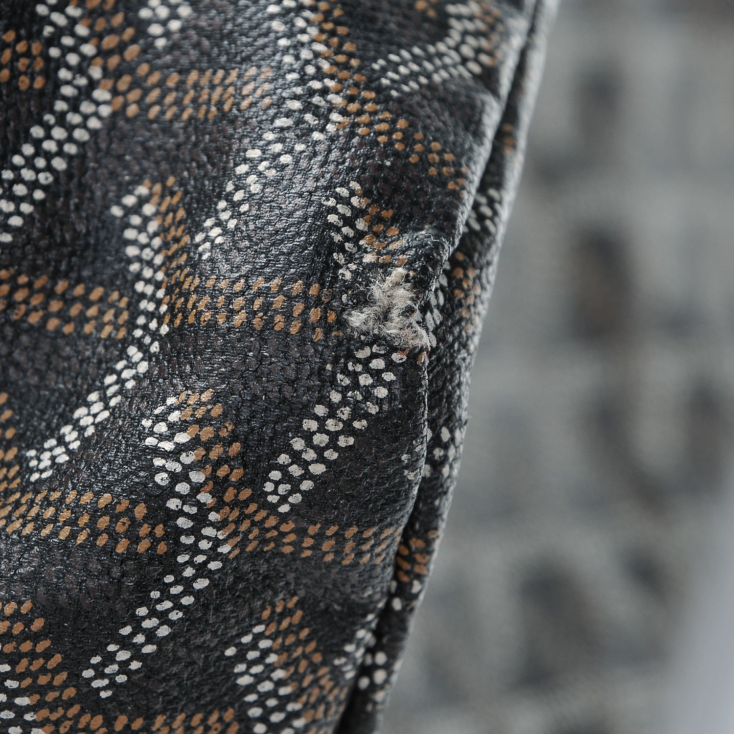 Goyard Goyardine Saint Louis PM Black 6 of 9