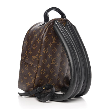 Louis Vuitton Monogram Palm Springs Backpack PM 2 of 12
