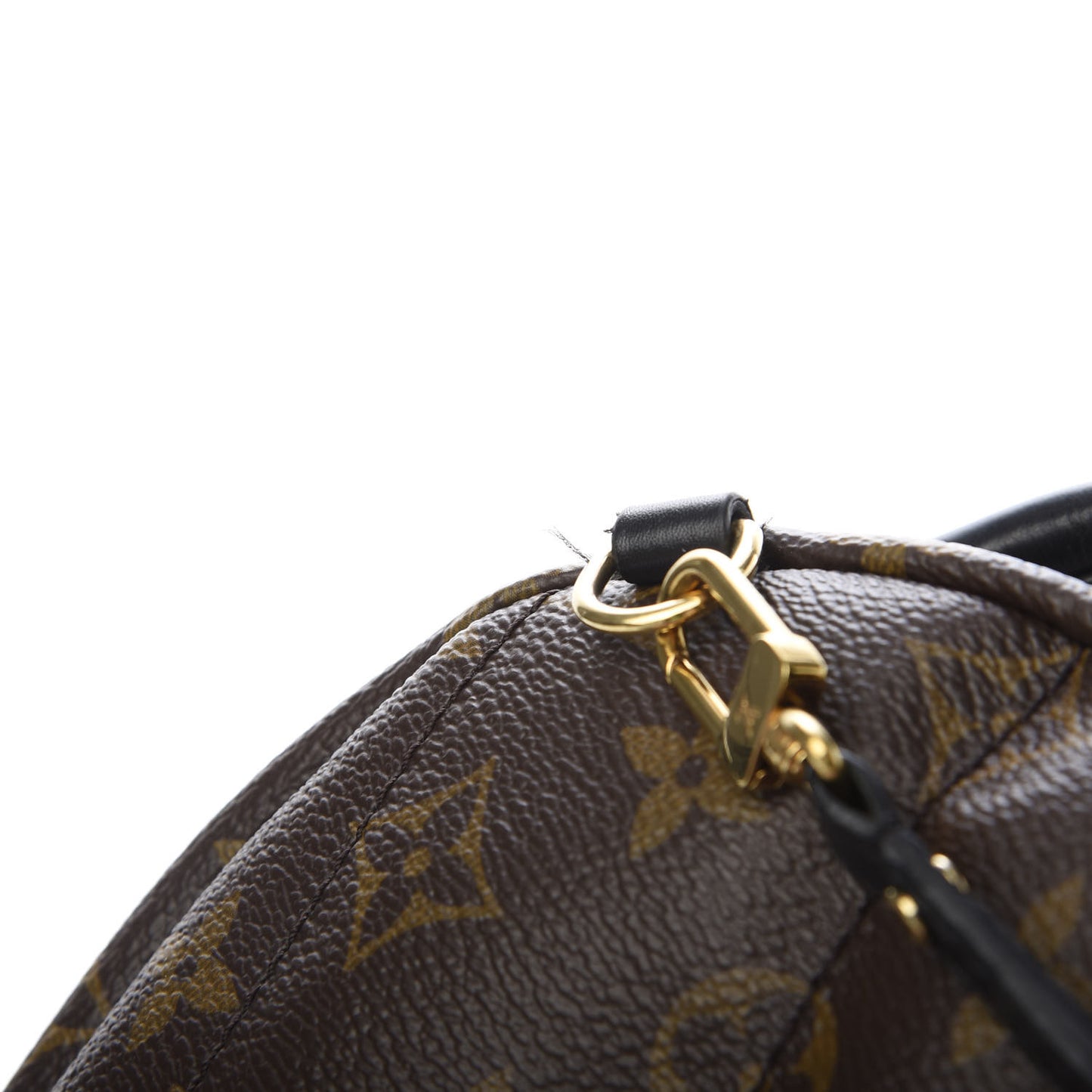 Monogram Palm Springs Backpack Mini