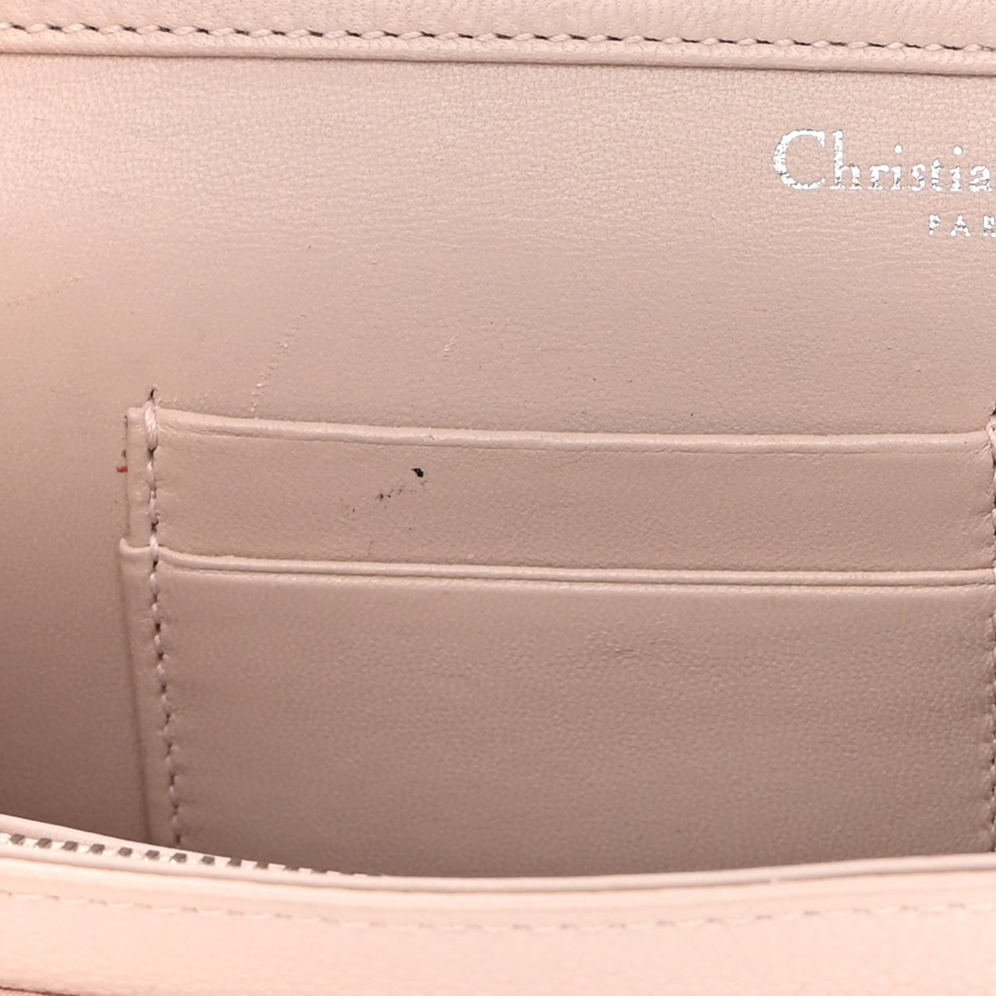 Grained Calfskin Diorama Wallet on Chain Pouch Nude