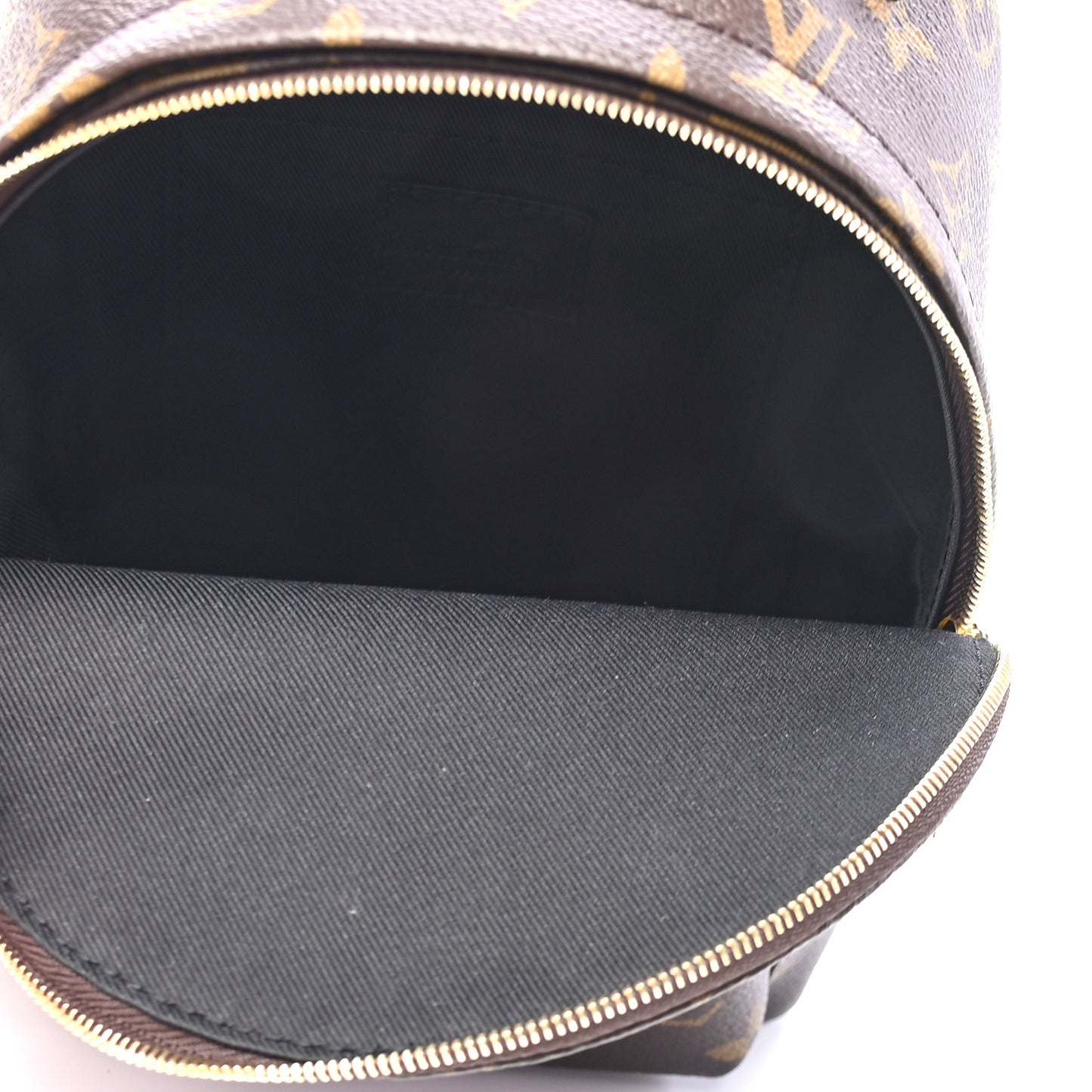 Monogram Palm Springs Backpack Mini