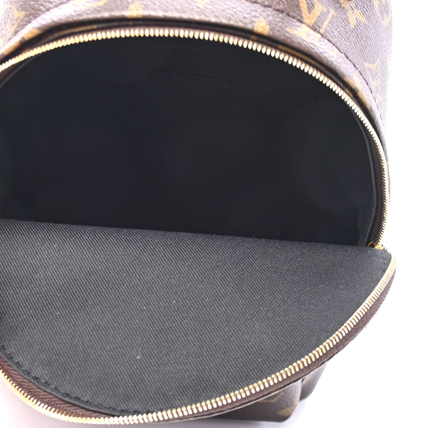 Louis Vuitton Monogram Palm Springs Backpack Mini 5 of 8