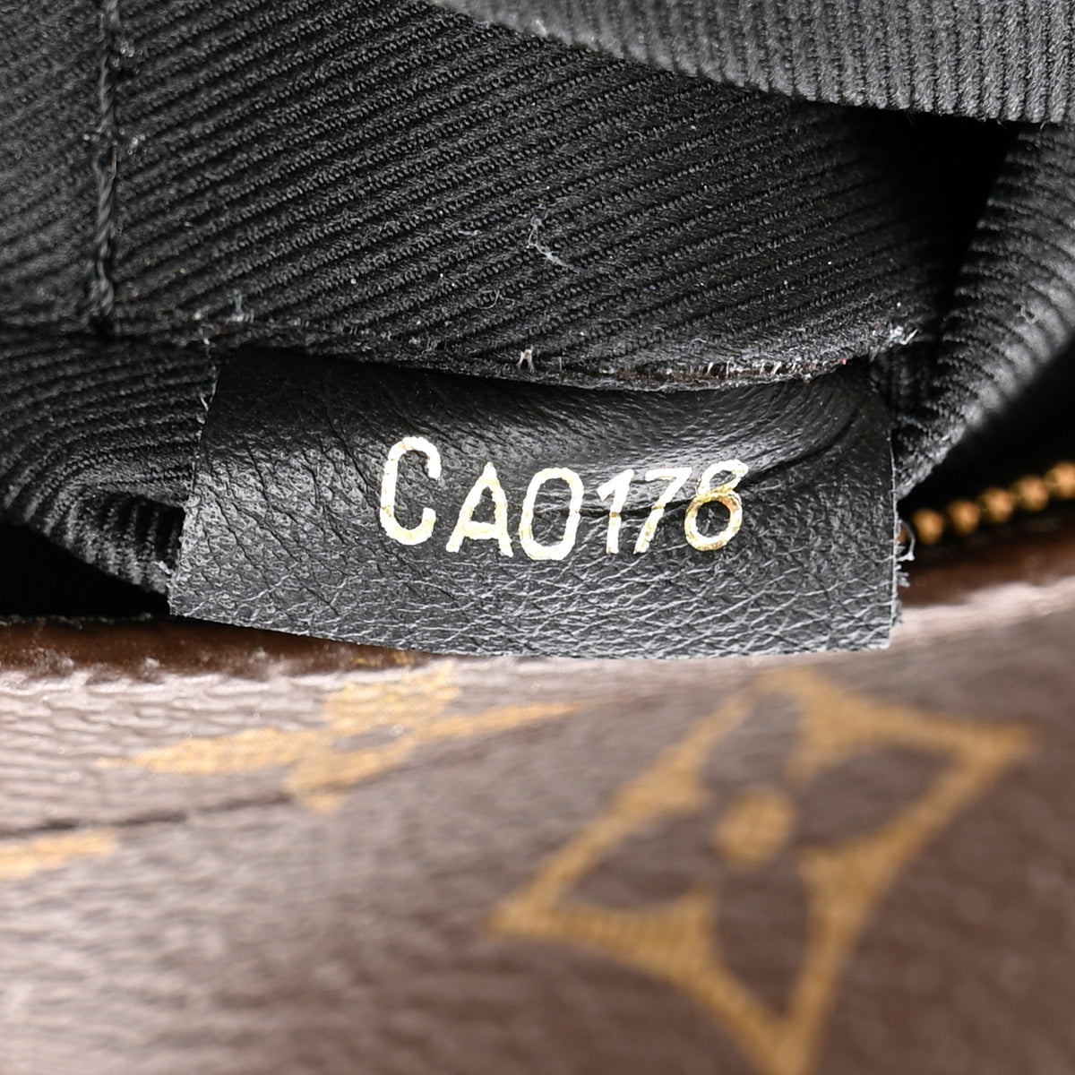 Monogram Palm Springs Backpack Mini