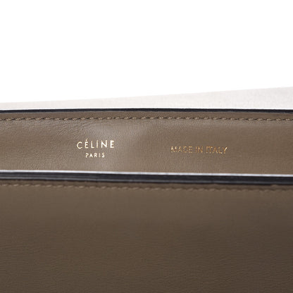 Celine Calfskin Suede Whipsnake Medium Trapeze Taupe 7 of 14
