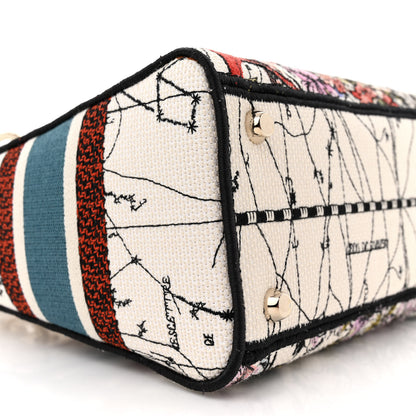 Christian Dior Canvas Constellation Embroidered Medium Lady D-Lite Latte Multicolor 9 of 11