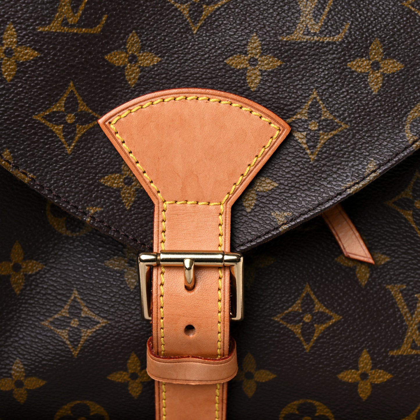 Monogram Montsouris GM Backpack