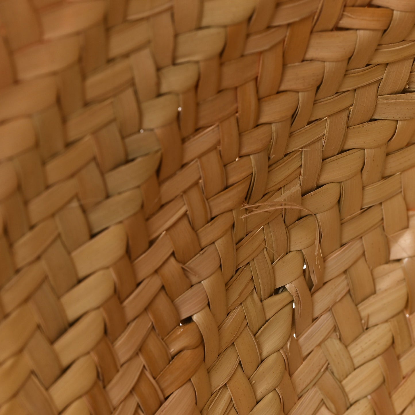 Raffia Basket Tote Bag Natural Tan