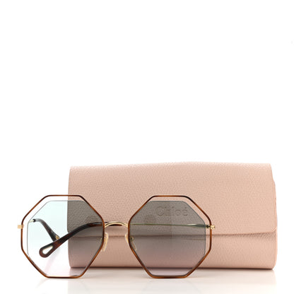 Chloe Poppy Octagonal Sunglasses CH0046S Havana Green Rose 5 of 7