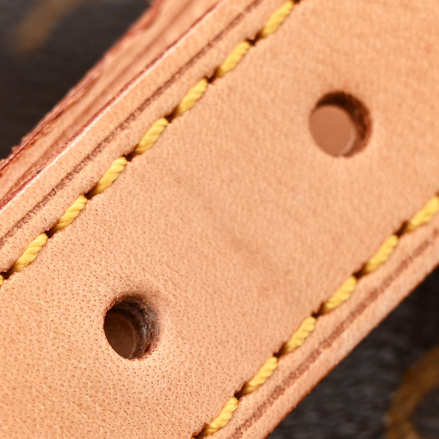 Monogram Montsouris GM Backpack