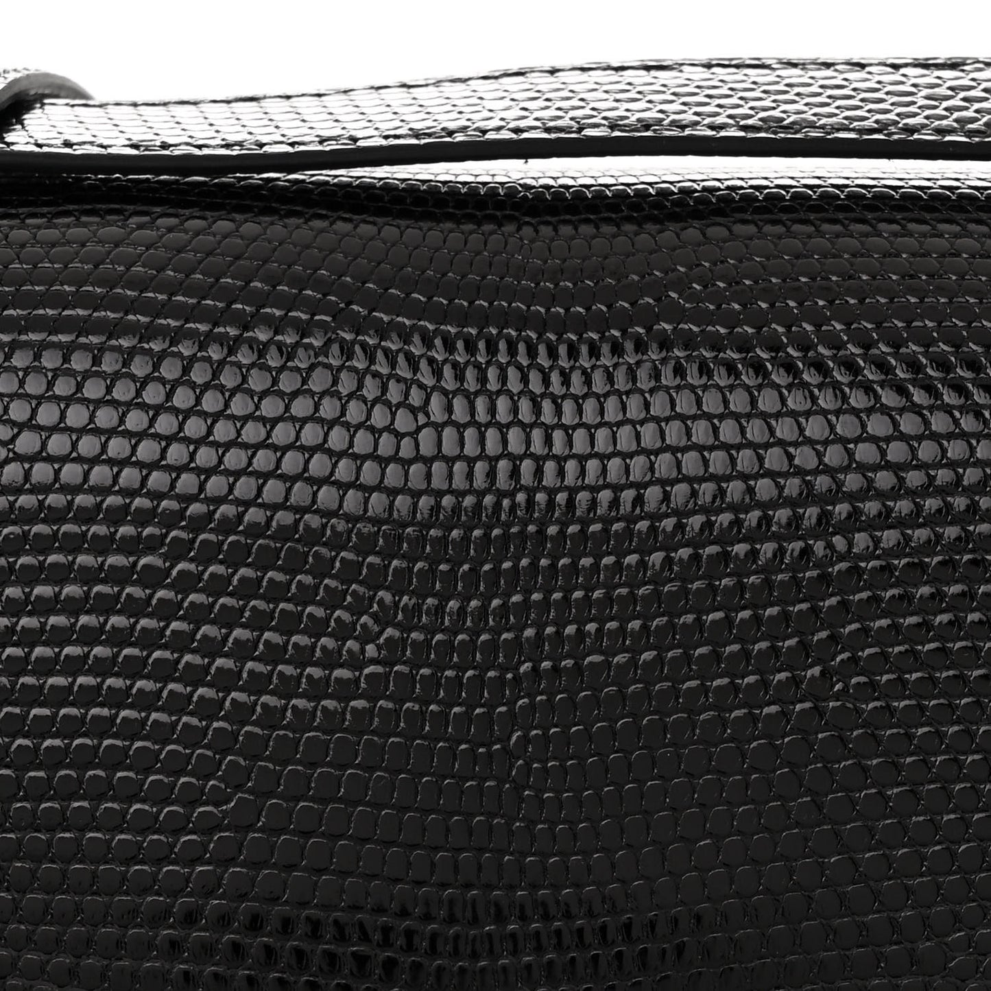 Lizard Constance 1-24 Black