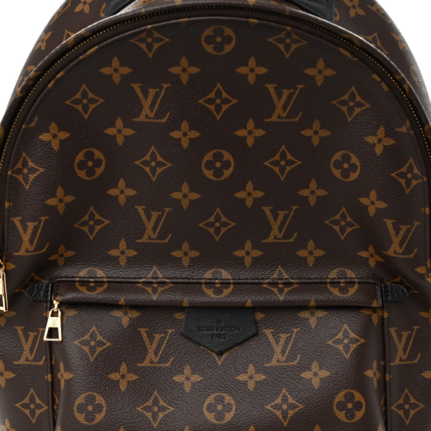Monogram Palm Springs Backpack MM