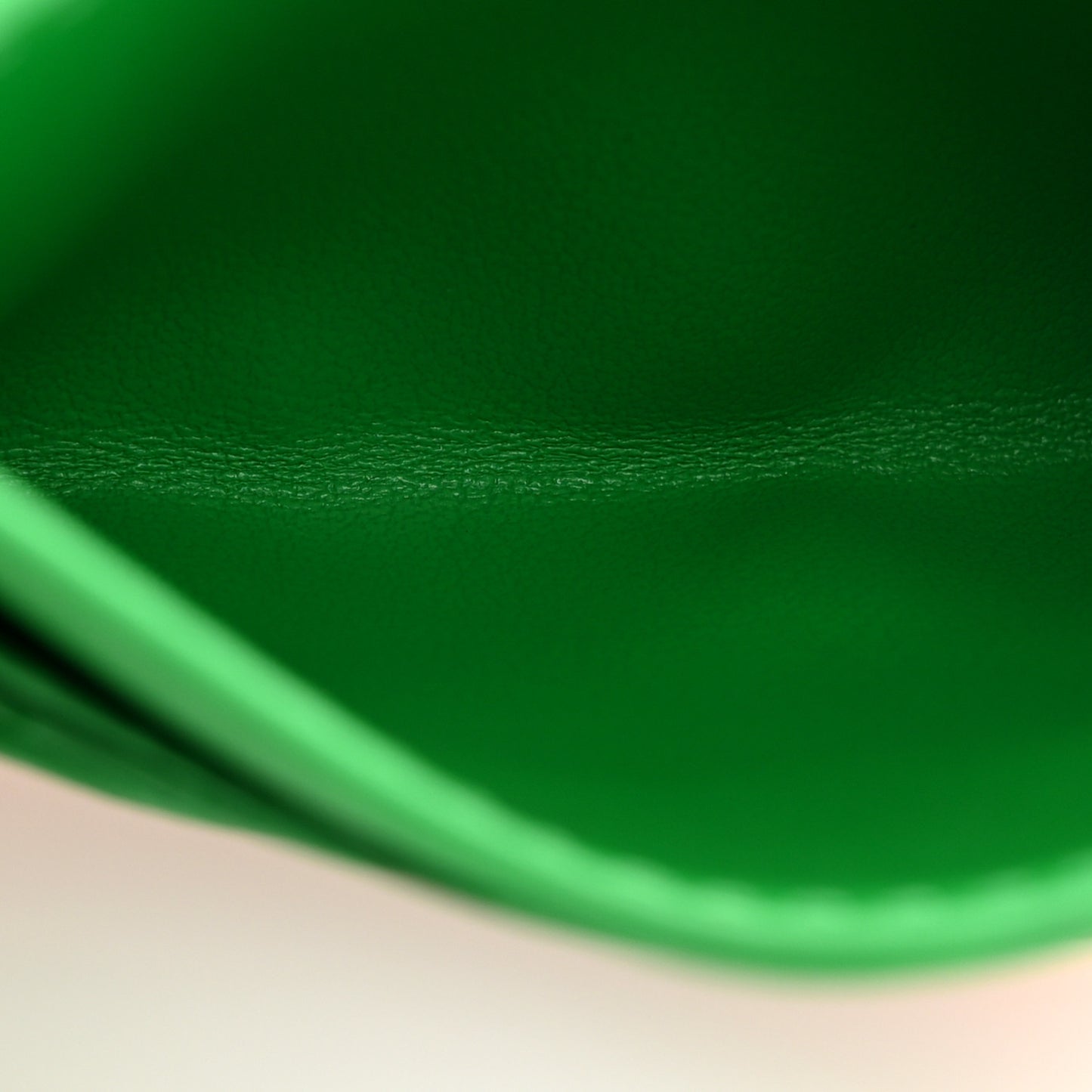 Nappa Intrecciato Card Holder Parakeet
