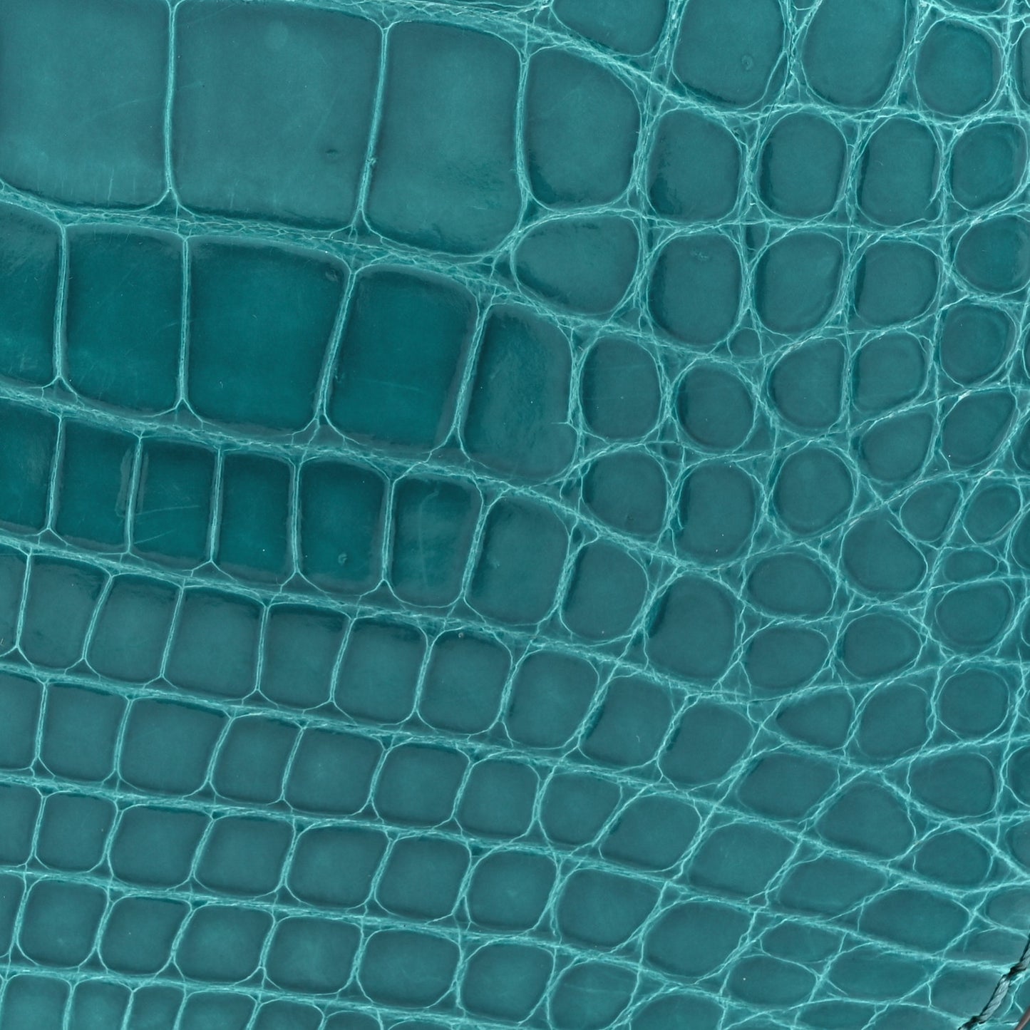 Shiny Alligator Vivienne NM Turquoise