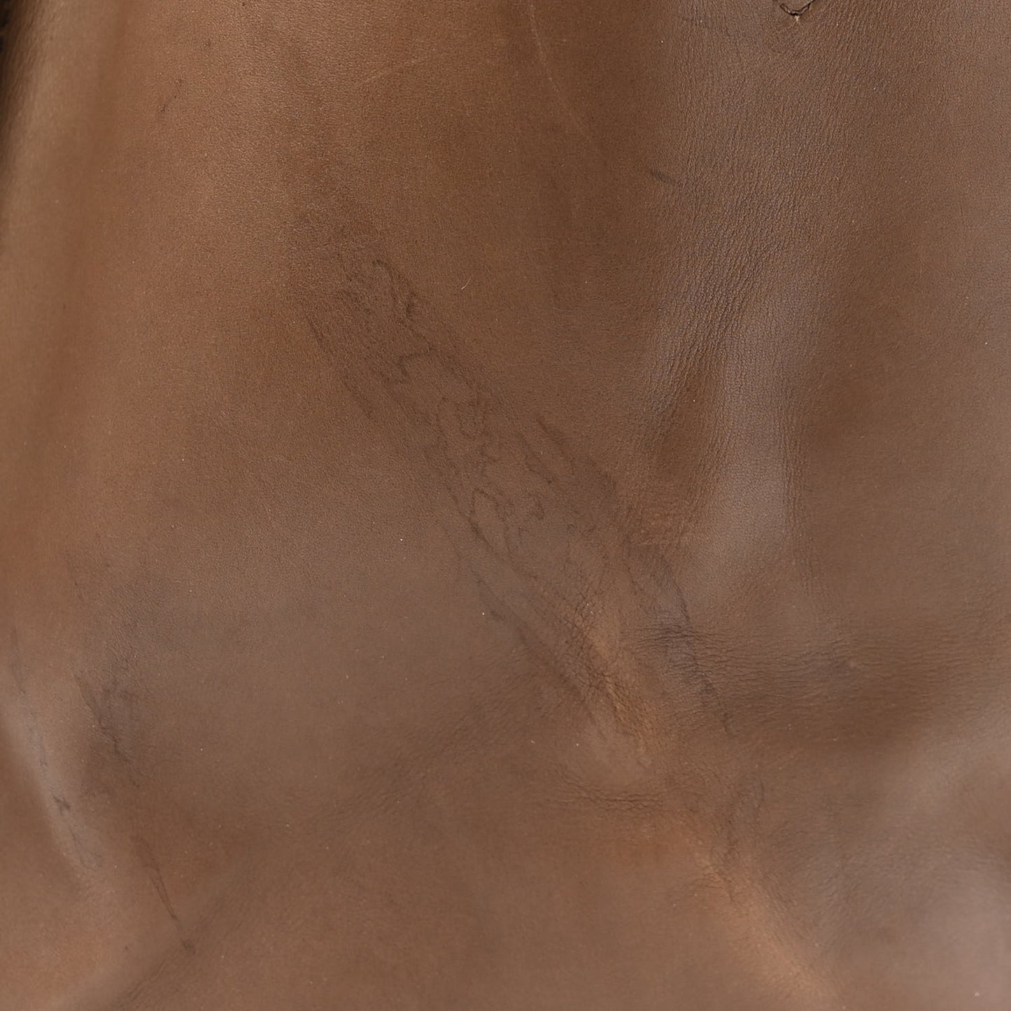 Smooth Calfskin Medium Phantom Luggage Tan