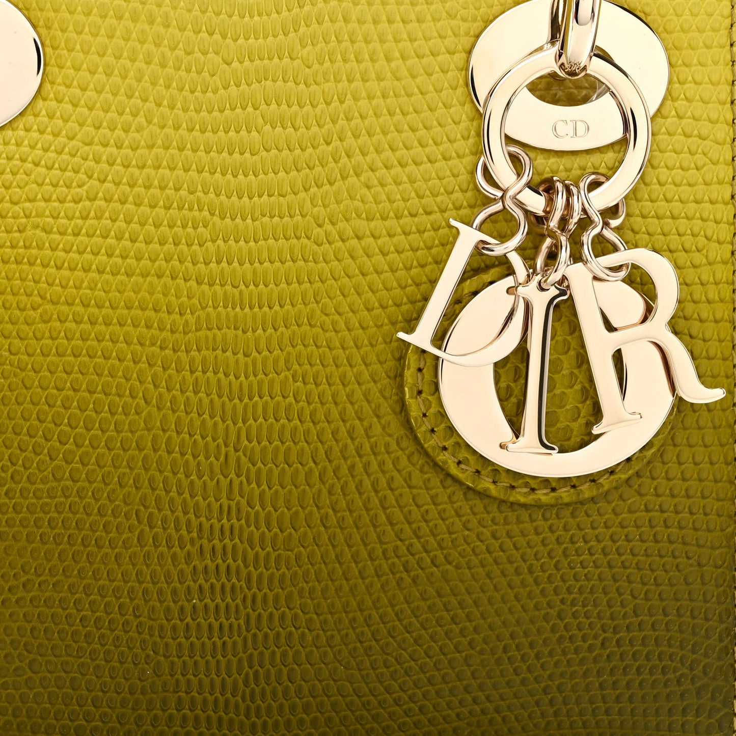 Lizard Gradient Mini Lady Dior Yellow Dark Green