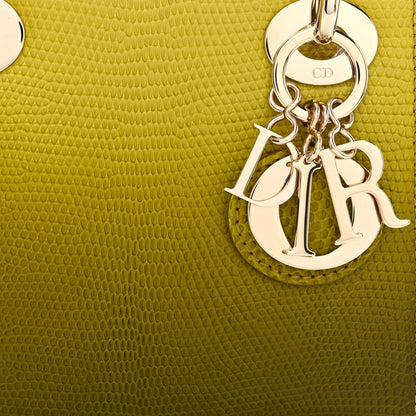 Christian Dior Lizard Gradient Mini Lady Dior Yellow Dark Green 8 of 10