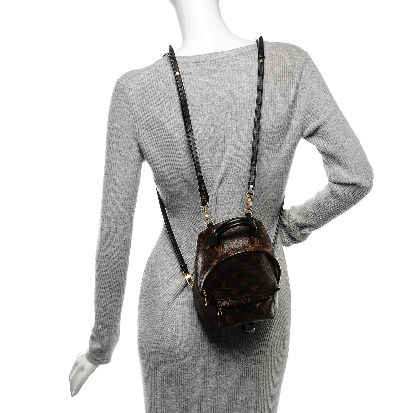 Monogram Palm Springs Backpack Mini