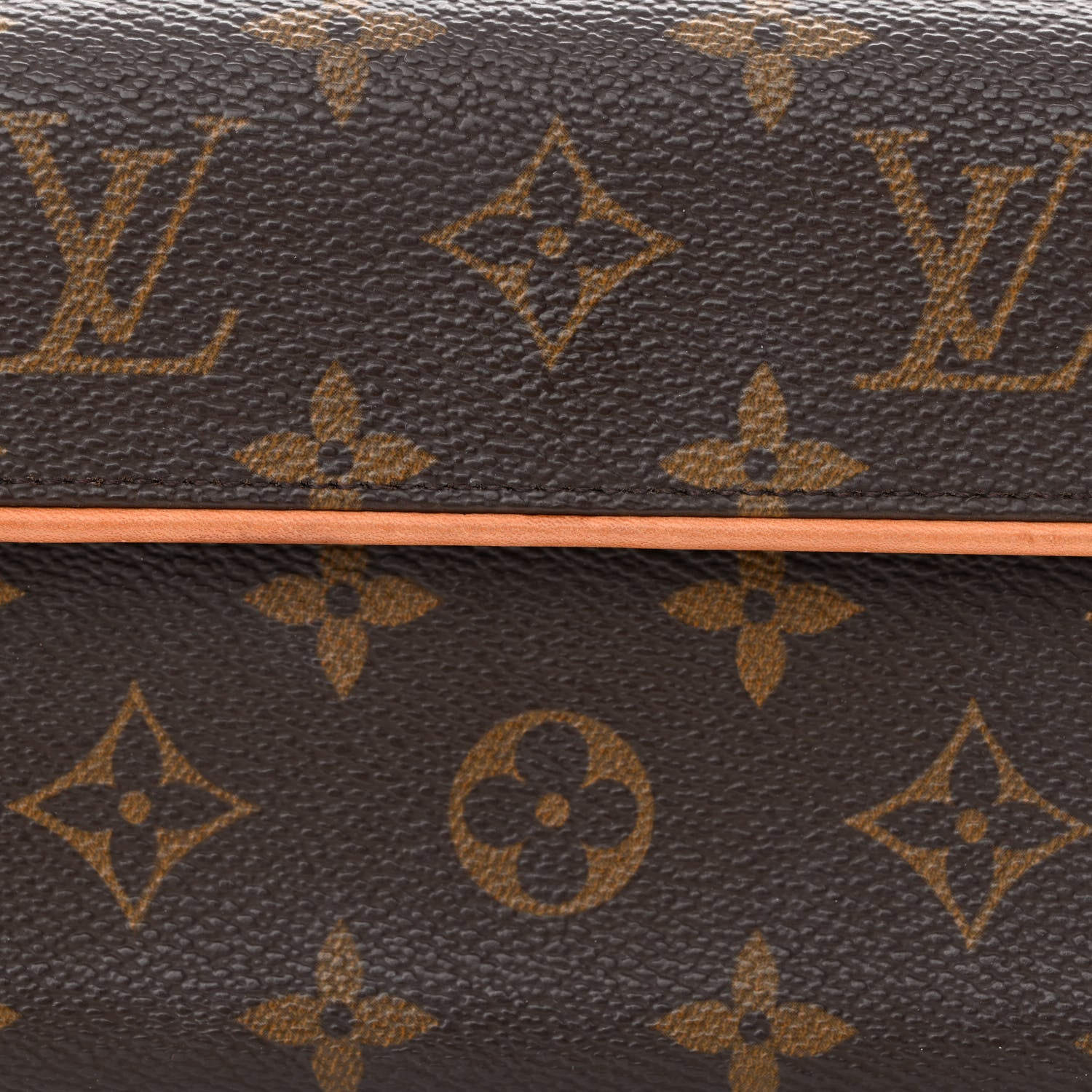 Louis Vuitton Monogram Pochette Florentine XS 10 of 12
