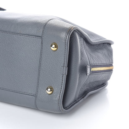 Loewe Calfskin Amazona Grey 9 of 15