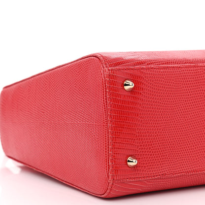 Christian Dior Lizard Medium Lady Dior Red 9 of 10