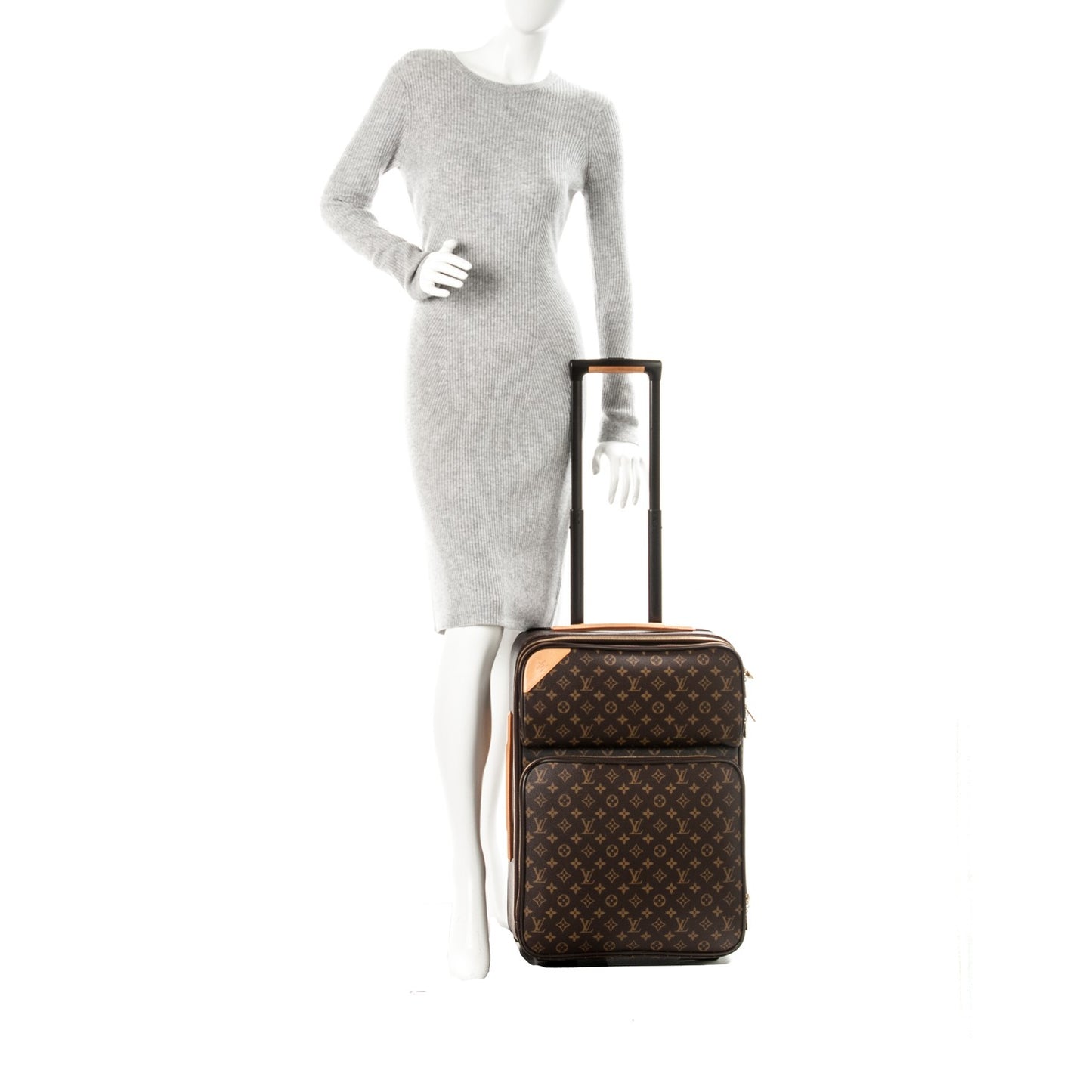 Monogram Pegase 55 Business