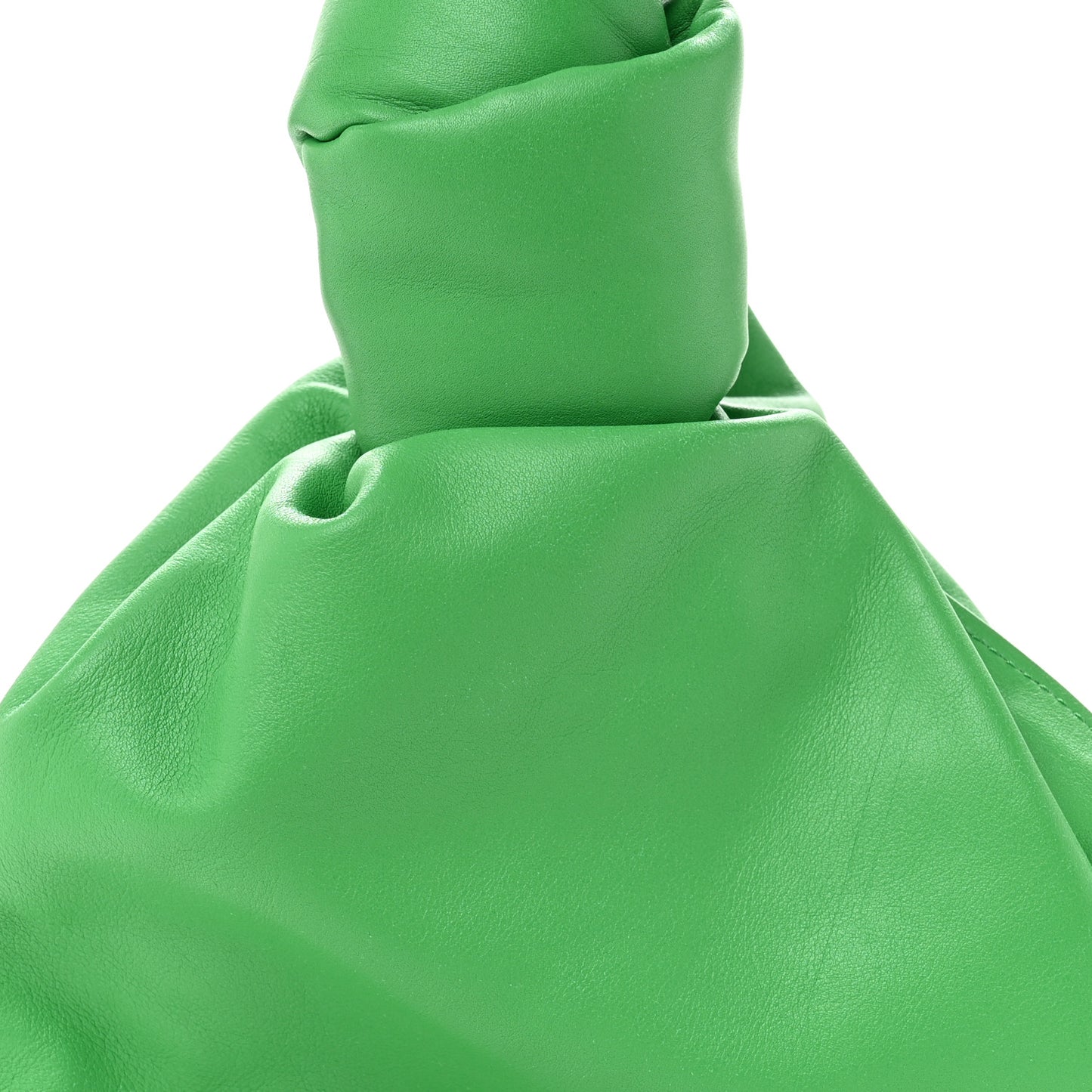 Calfskin Mini BV Twist Parakeet