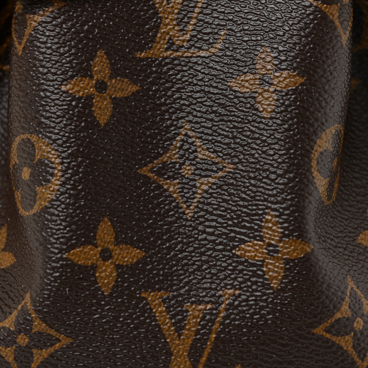 Monogram Nano Noe