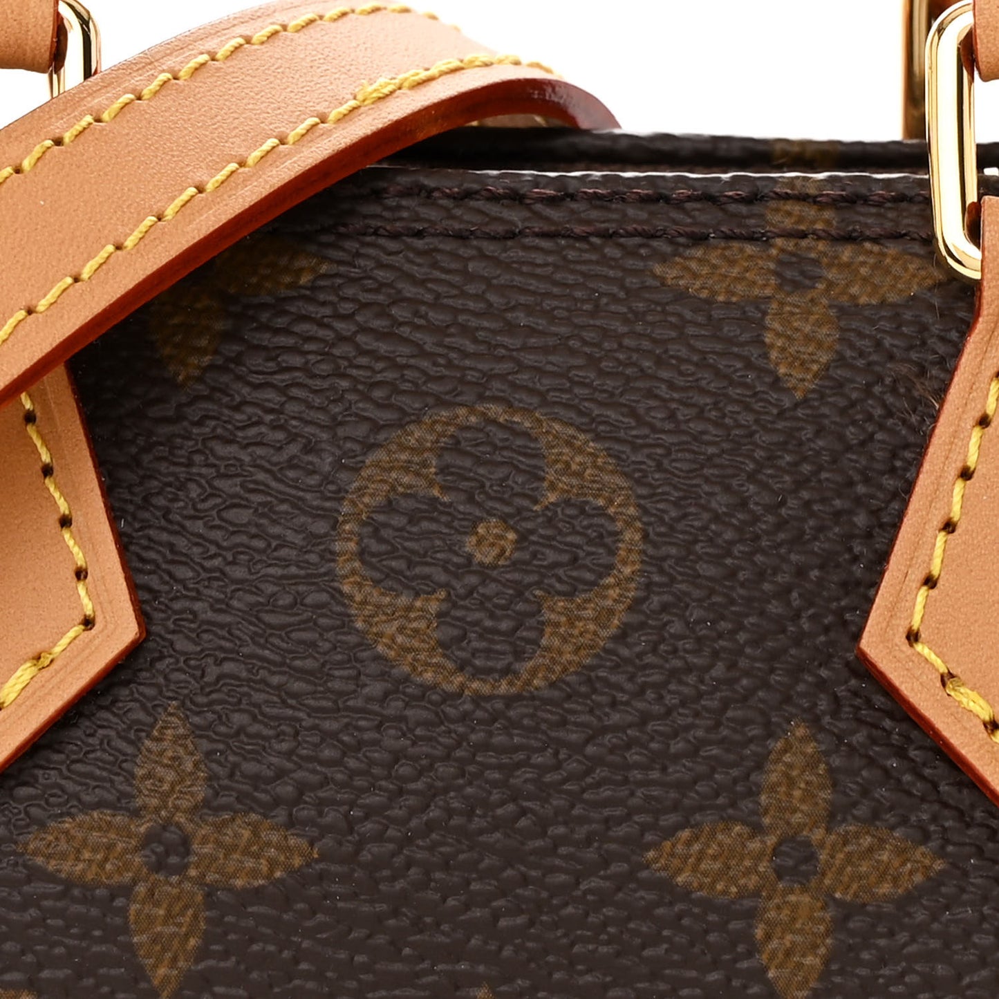 Monogram Nano Speedy Bandouliere