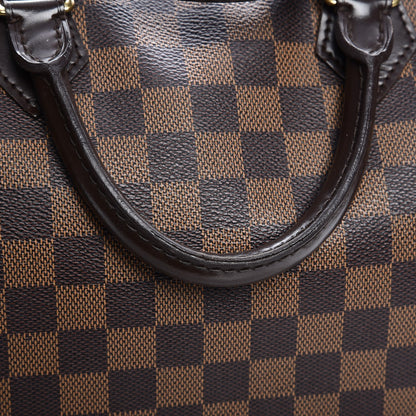 Louis Vuitton Damier Ebene Speedy 30 19 of 21