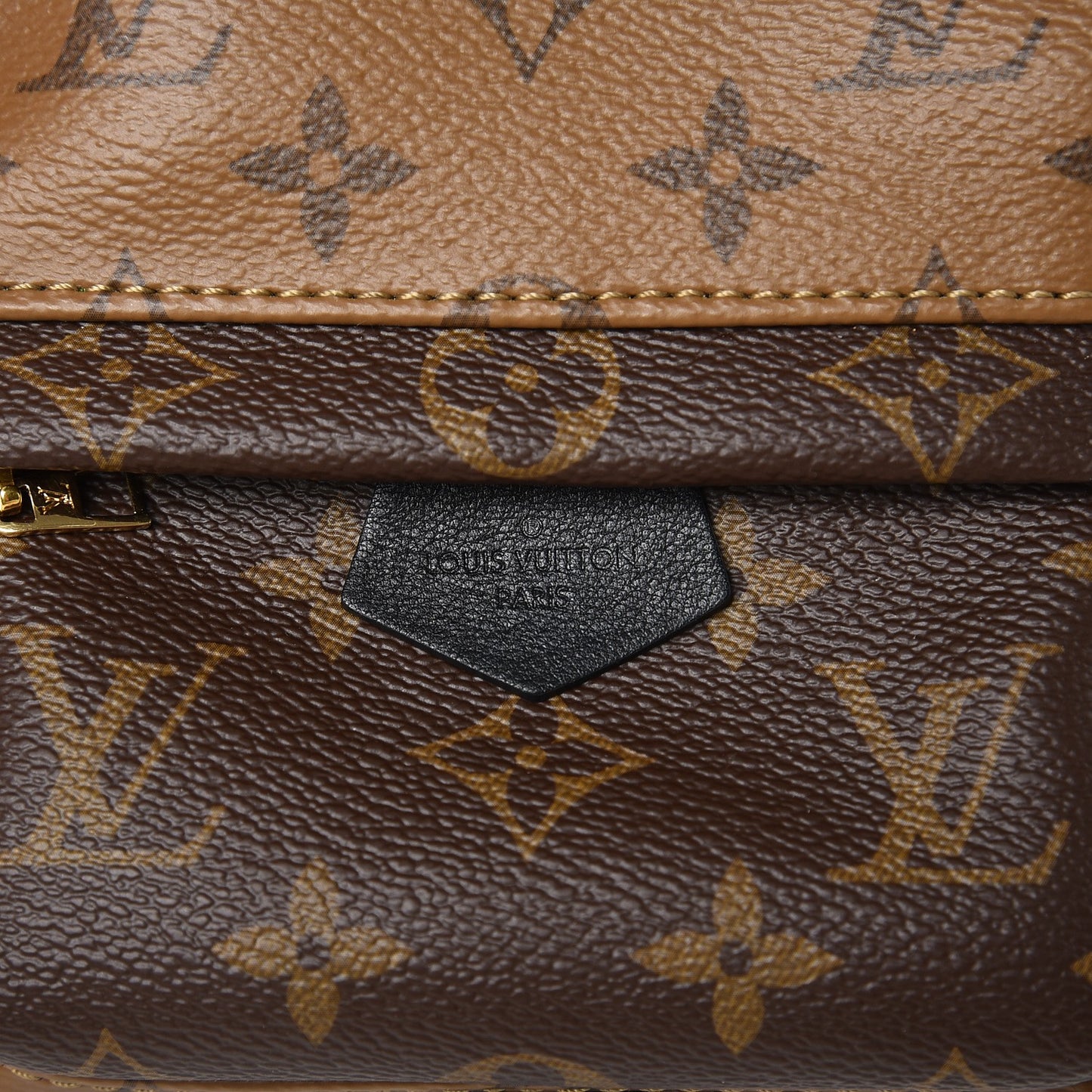 Reverse Monogram Palm Springs Backpack Mini