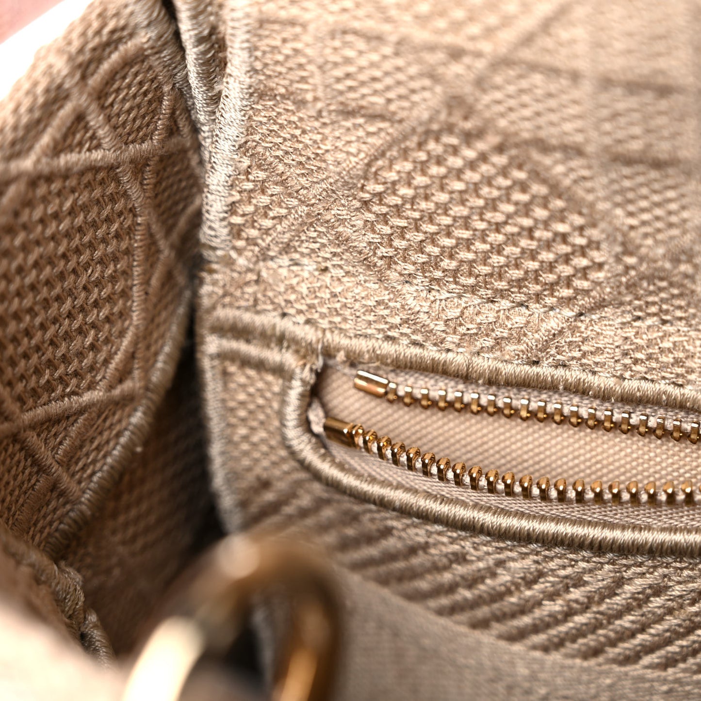 Canvas Embroidered Medium Lady D-Lite Beige