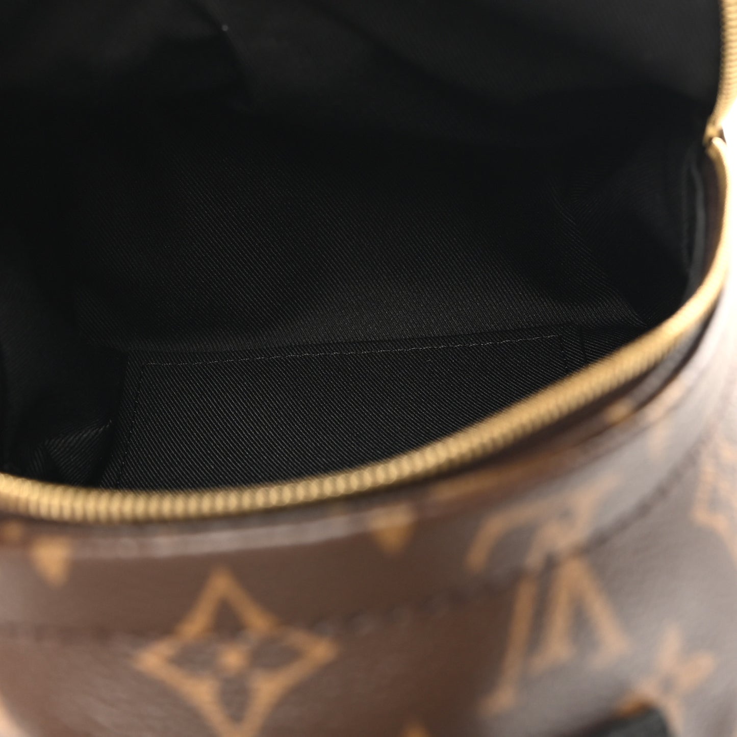 Monogram Palm Springs Backpack Mini