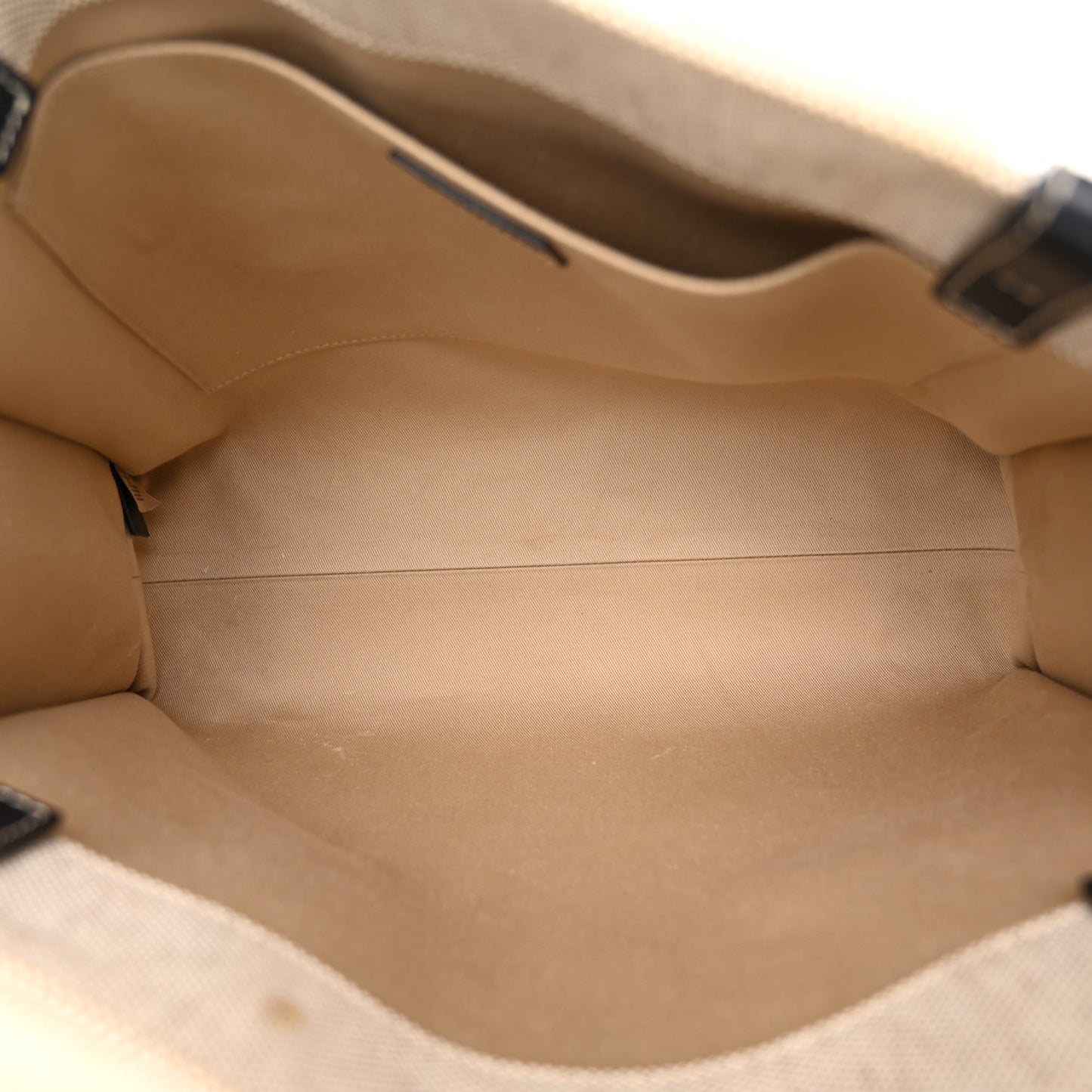 Cotton Calfskin Medium Woody Ribbon Tote White Blue