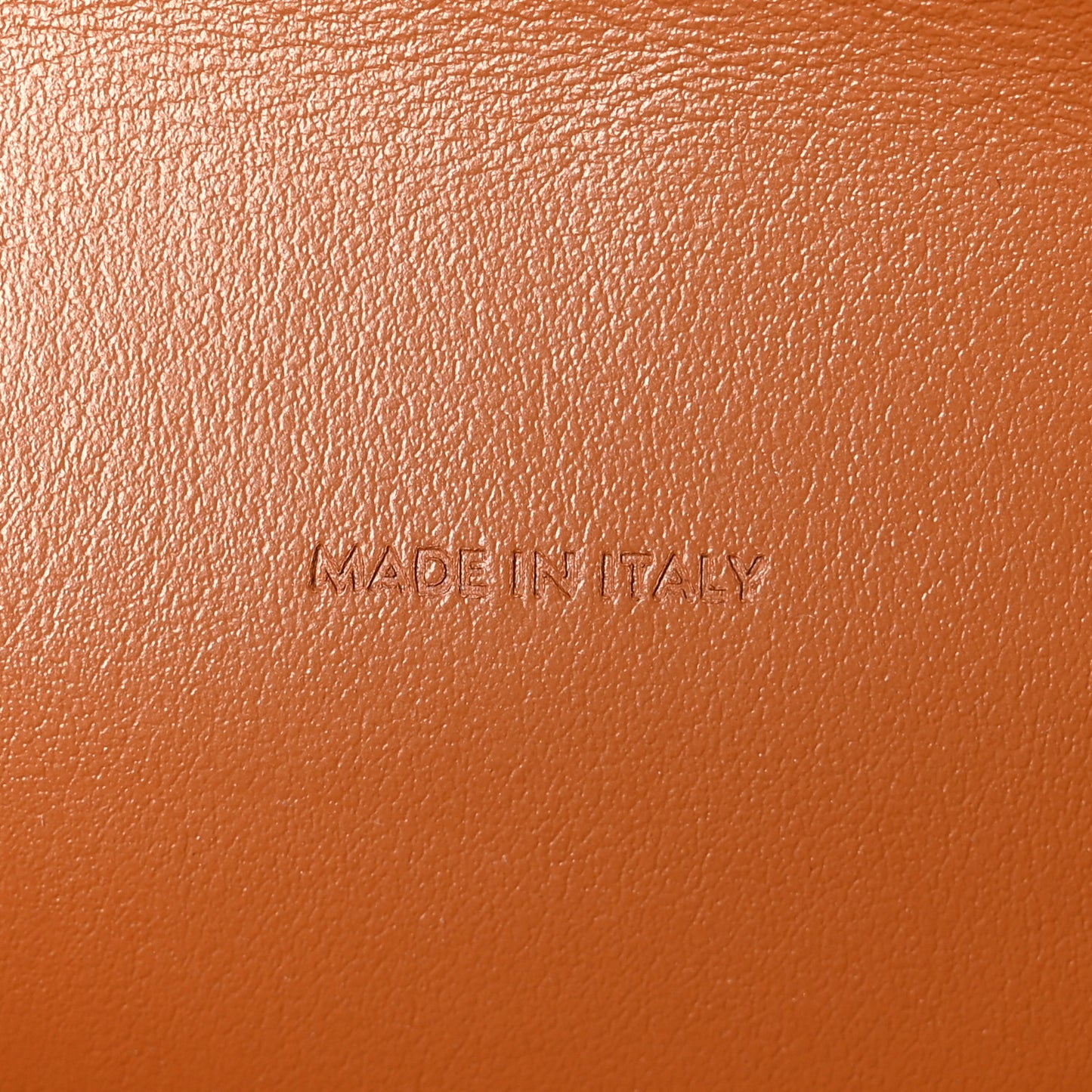 Triomphe Canvas Lambskin Wallet On Strap Tan