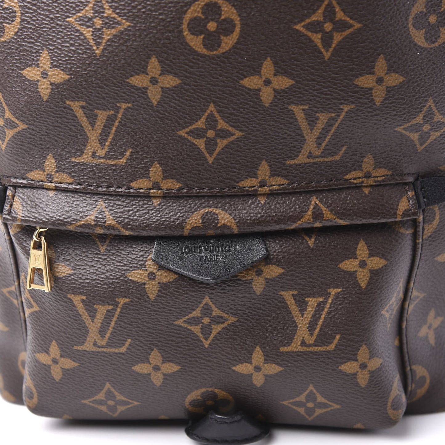 Monogram Palm Springs Backpack PM
