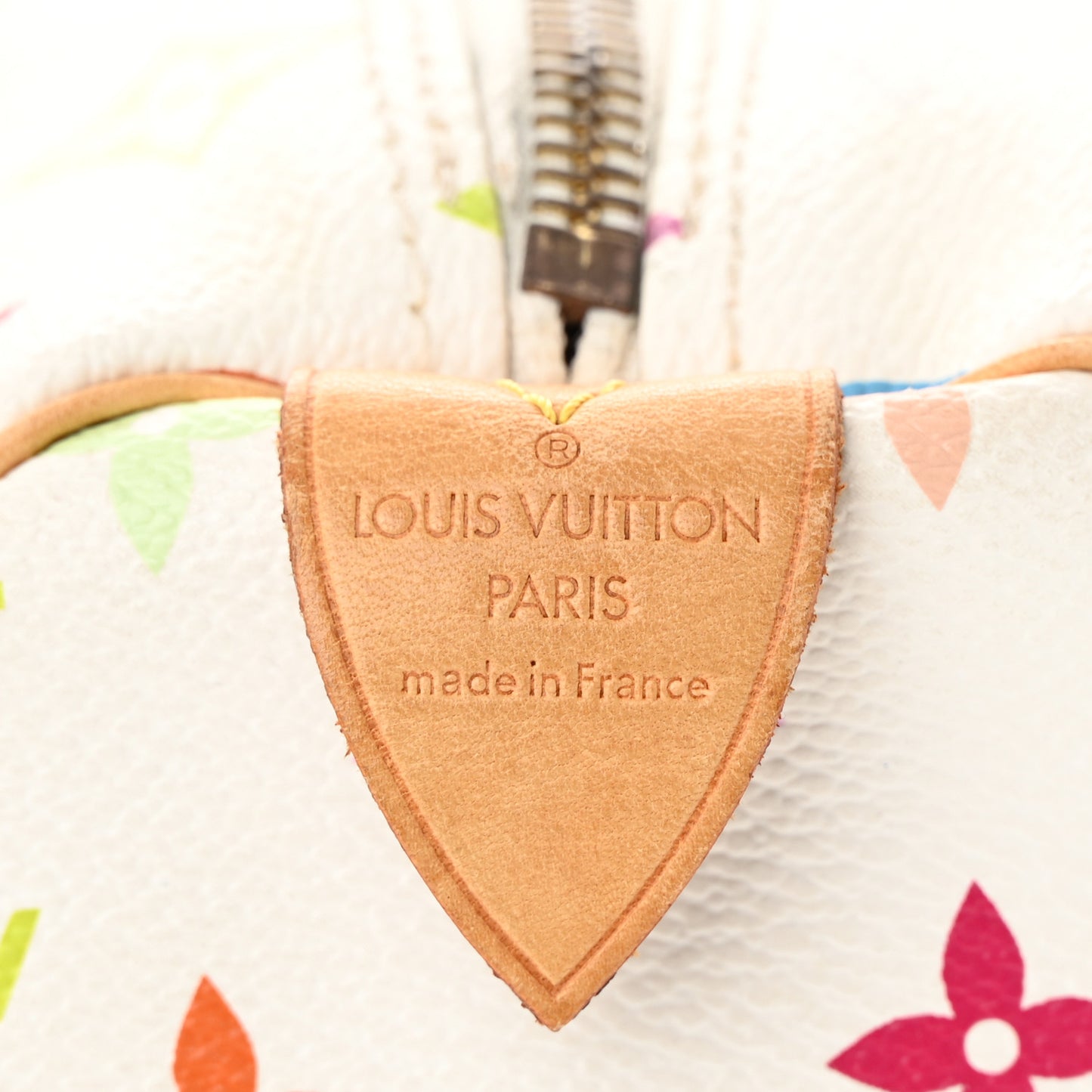Monogram Multicolor Speedy 30 White