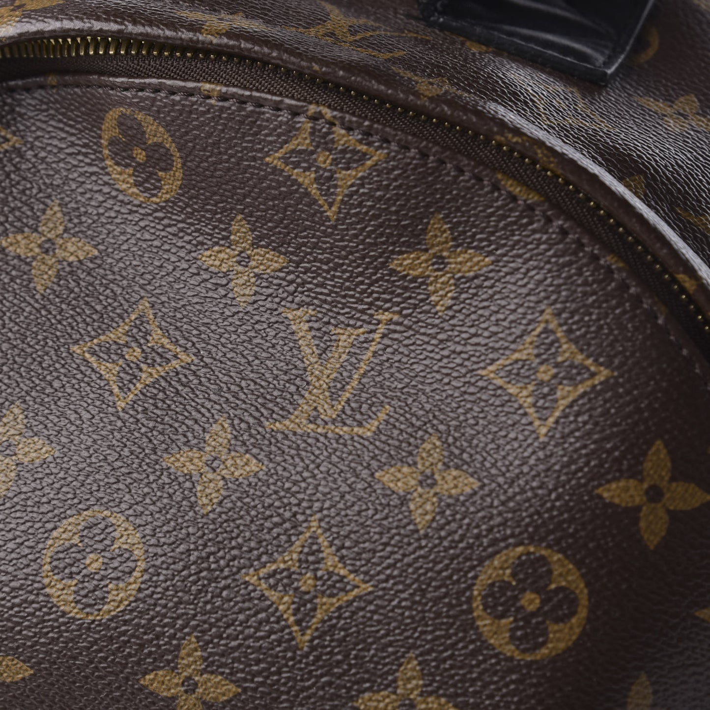 Monogram Palm Springs Backpack MM