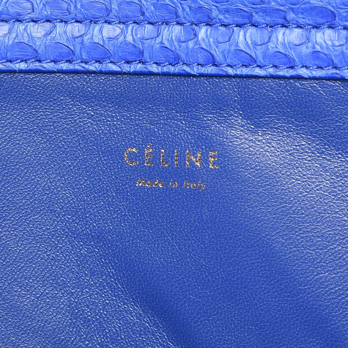 Python Medium Phantom Luggage Blue