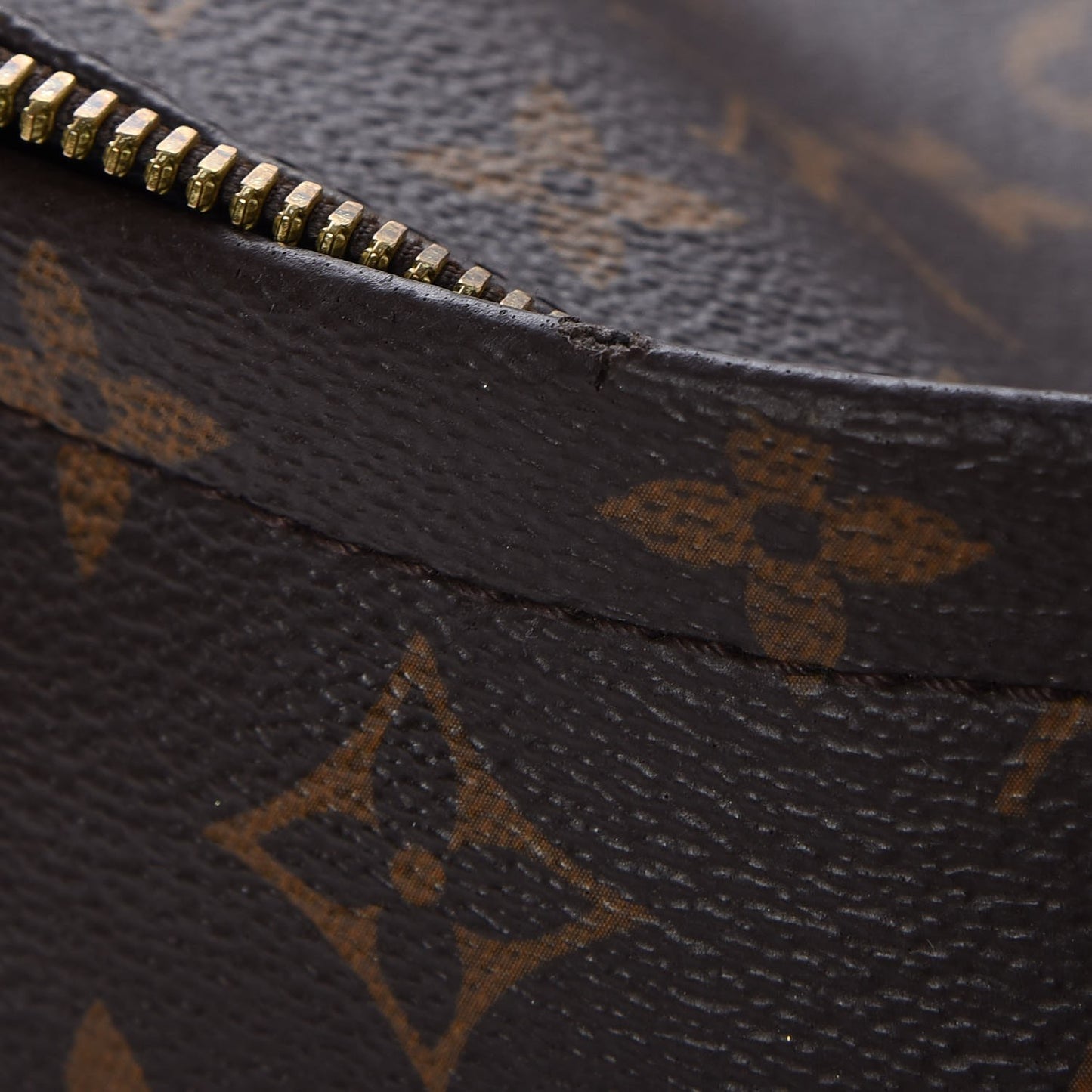 Monogram Palm Springs Backpack MM