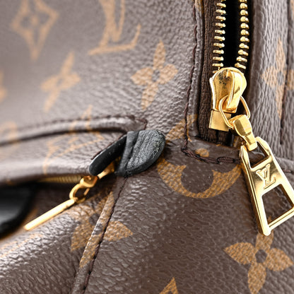 Louis Vuitton Monogram Palm Springs Backpack Mini 13 of 17