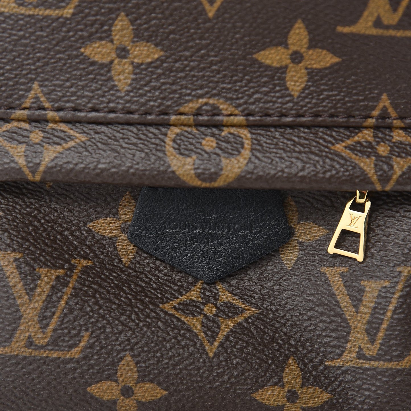 Monogram Palm Springs Backpack Mini