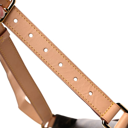 Louis Vuitton Monogram Bumbag 12 of 14