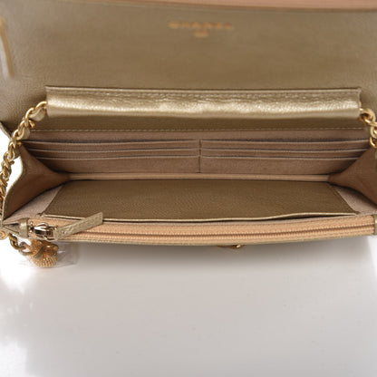 Chanel Woven Straw Braided Ancient Greek Wallet On Chain WOC Beige 5 of 8