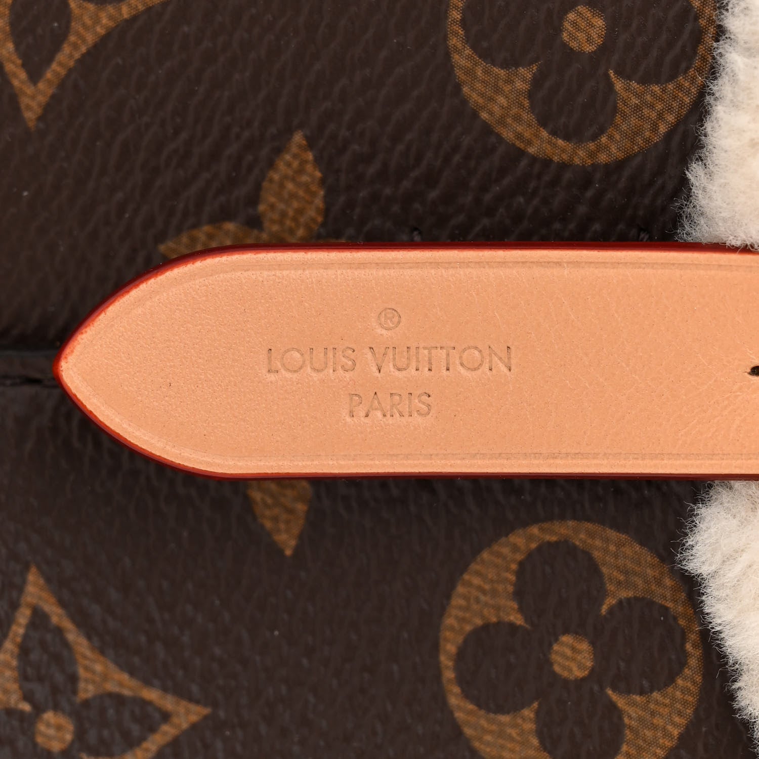 Louis Vuitton Monogram Shearling Cozygram Neonoe BB 6 of 10