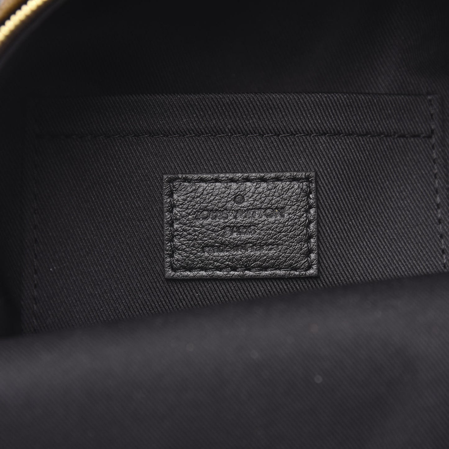 Monogram Palm Springs Backpack Mini