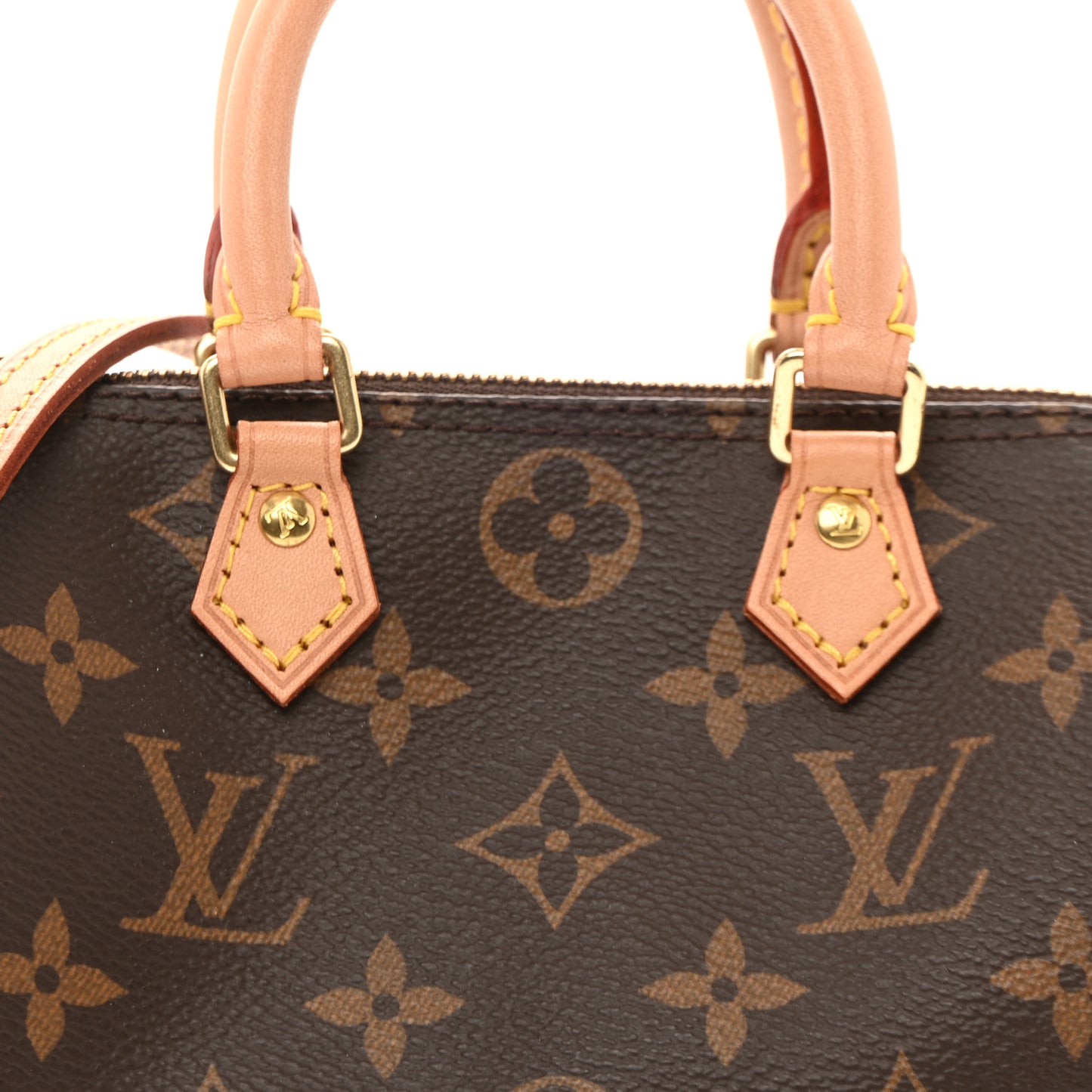 Monogram Nano Speedy