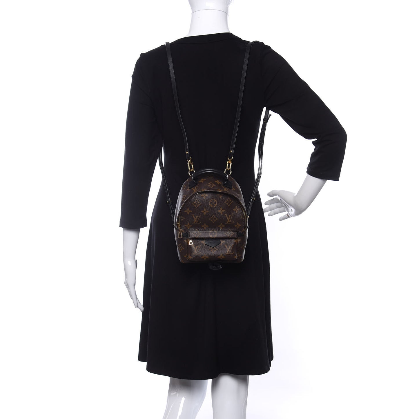 Monogram Palm Springs Backpack Mini