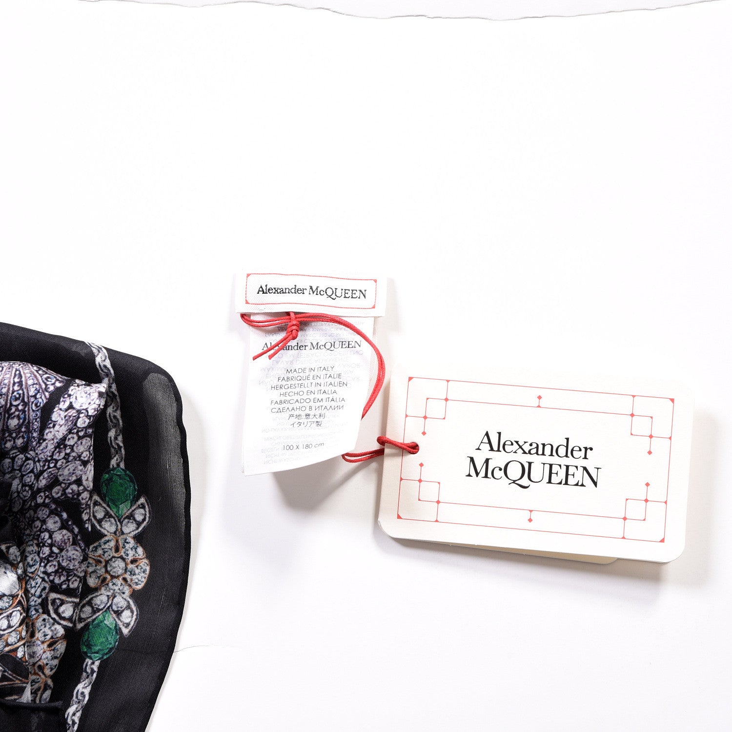Alexander McQueen Silk Treasure Skeleton Scarf Black 5 of 5